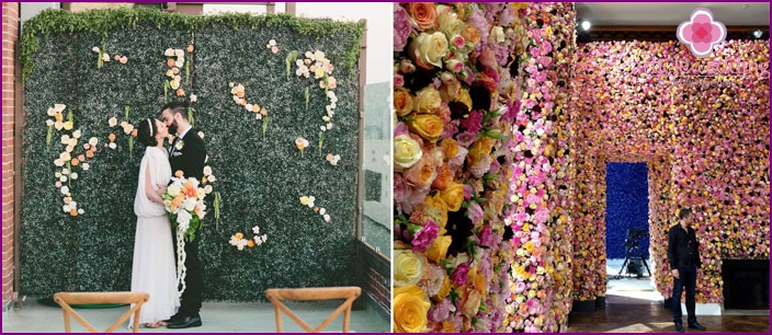 Wall of flowers for a wedding