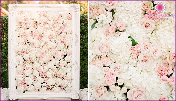 حائط من الزهور لحفل زفاف