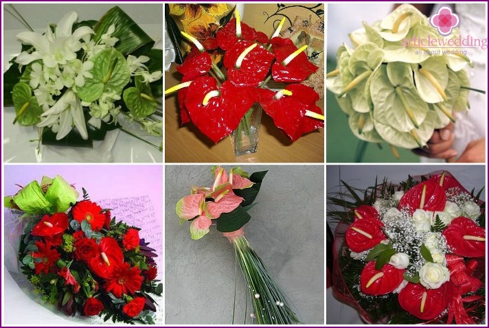 Wedding gift bouquet: compositions with anthuriums