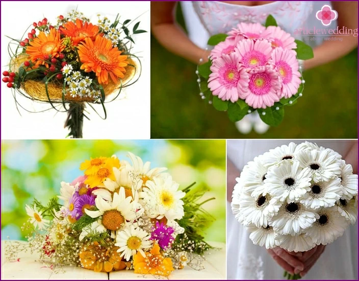 Gerberas och tusenskönor - blommor för unga