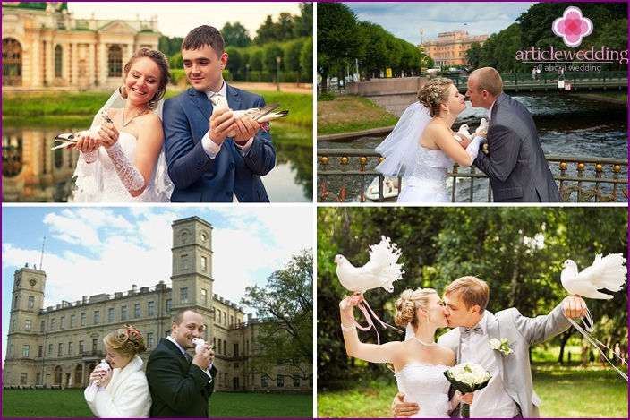 Newlyweds with pigeons