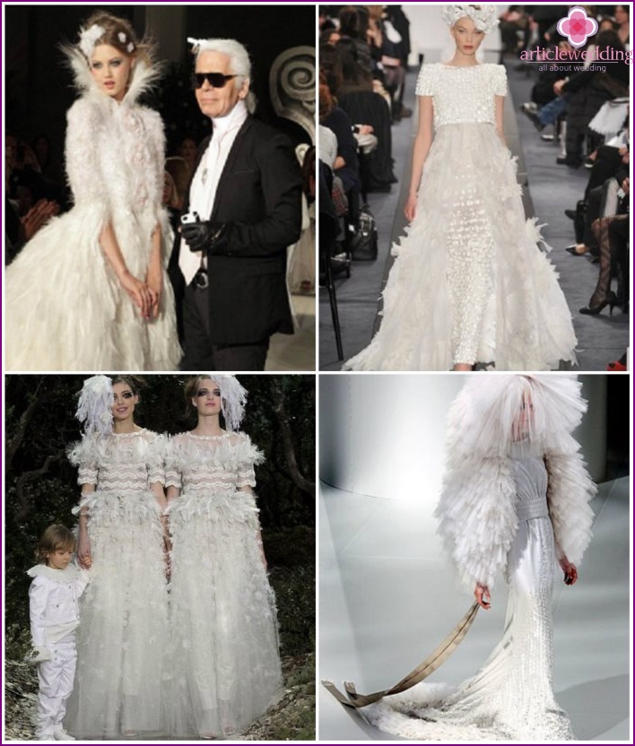 Swan Feather Wedding Dresses
