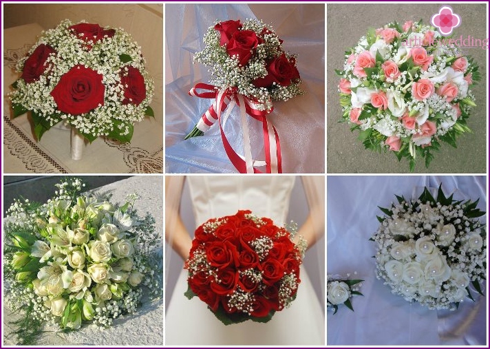 A combinação de gypsophila com rosas