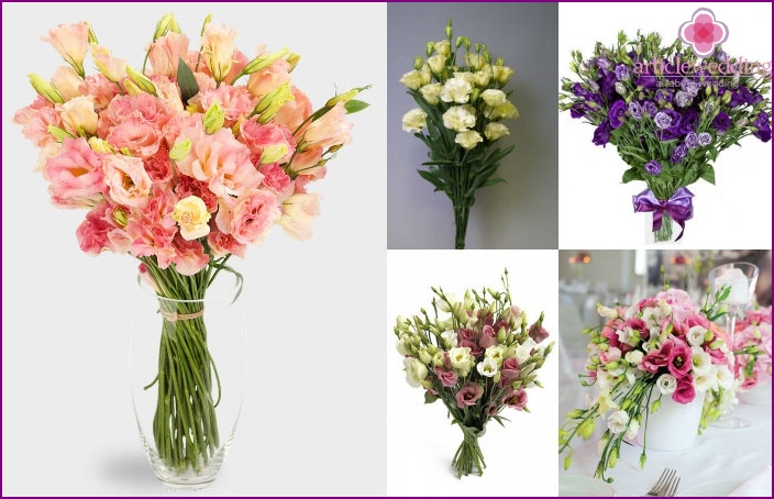 The color scheme of lisianthus