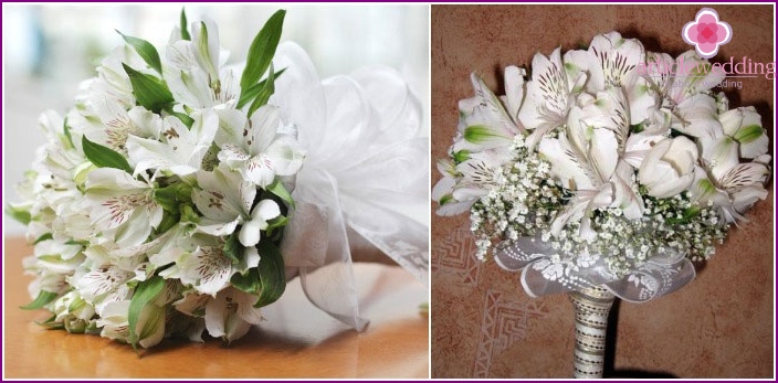 Mono-bouquet of white inflorescences