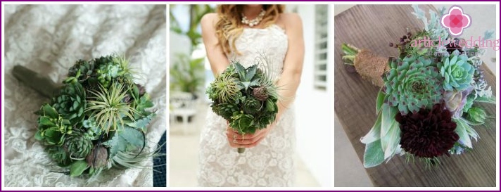 Assorted succulents in a newlywed wedding arrangement