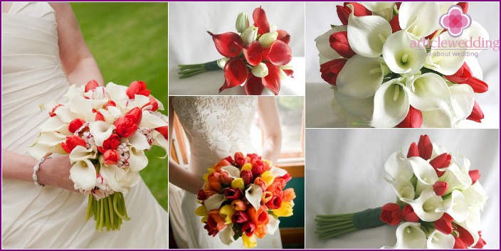The combination in a bouquet of newlyweds calla lilies with tulips