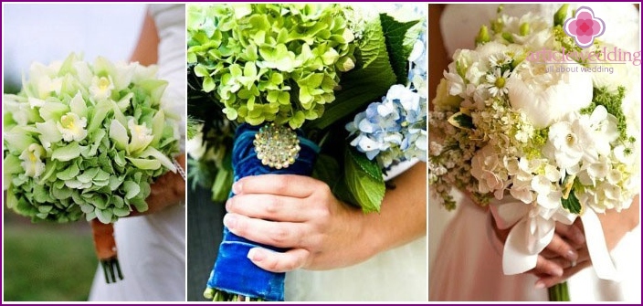Options for a magnificent bouquet with hydrangeas