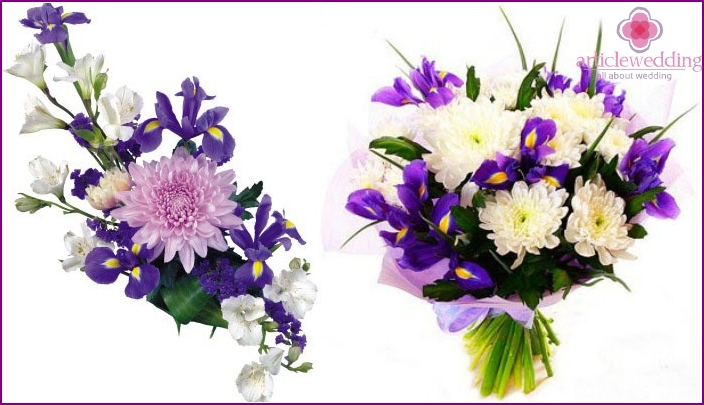 Beautiful combinations of chrysanthemums with irises