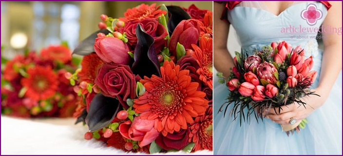 زهور التوليب الحمراء جيدة في أحادية الزفاف