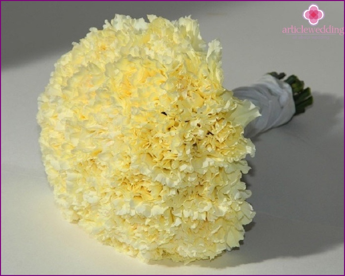 Yellow carnation is a symbol of wisdom and friendship
