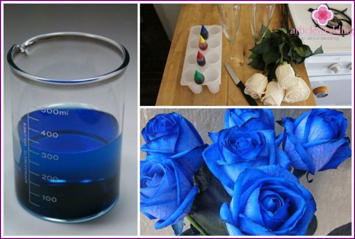 كيفية الحصول على الورود الزرقاء