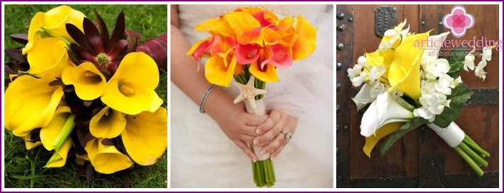 Calla lemon color in the bride's bouquet