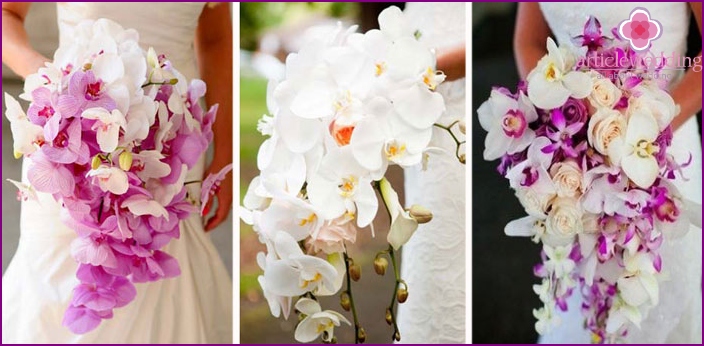 Orchidées pour la mariée