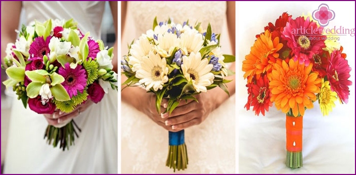 Bright gerbera