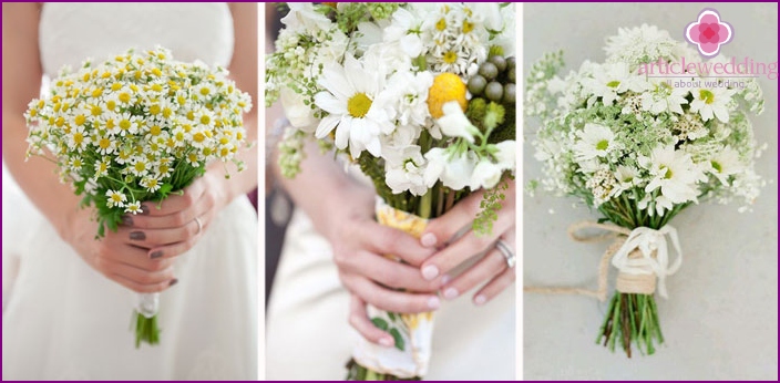 Cute daisies for a young