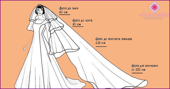 How to determine the size of a veil